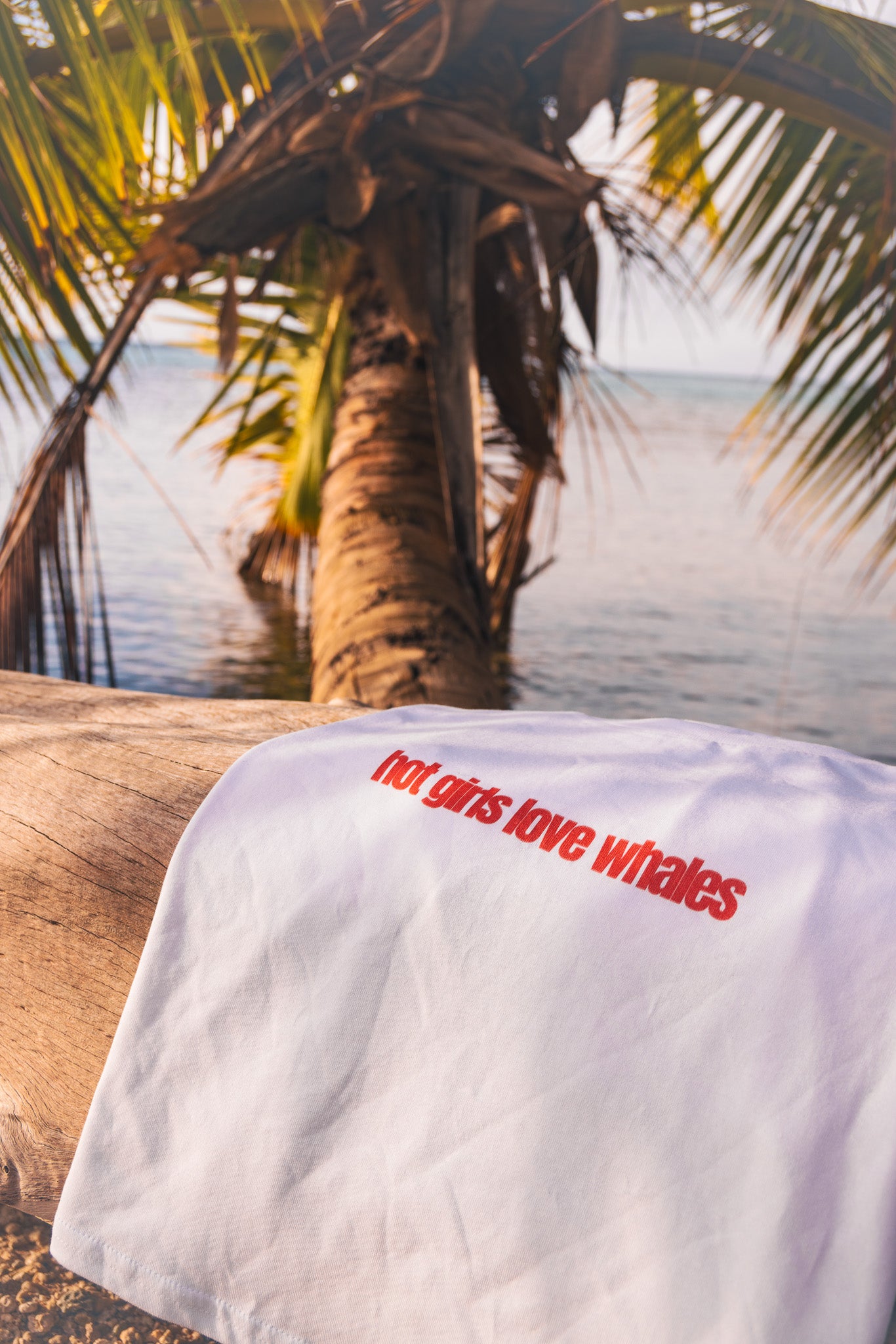 Hot Girls Love Whales Crop Tee (RED font)