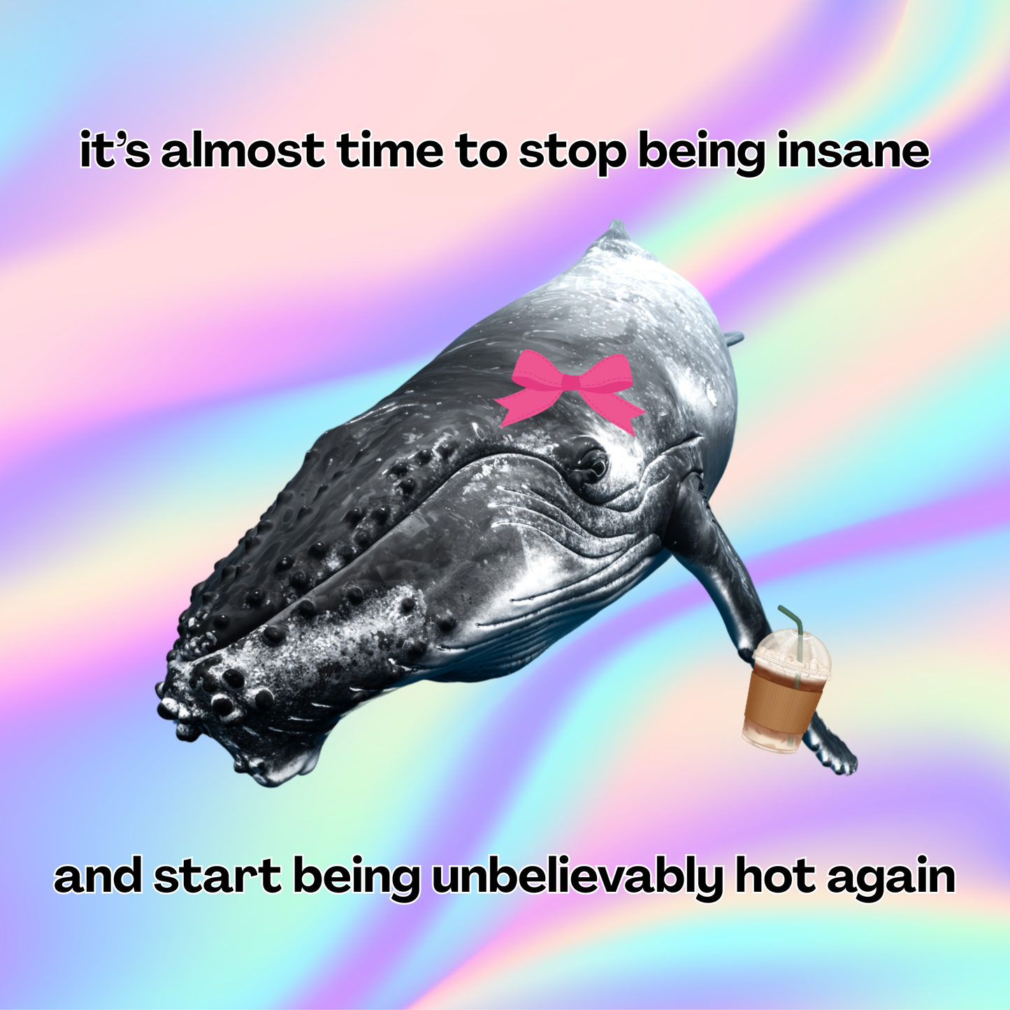 Whale Meme Sticker Sheet