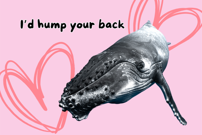 Humpback Valentine's Day Card