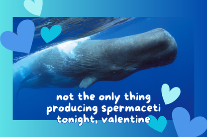 Sperm Whale Valentine's Day Card