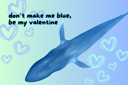 Blue Whale Valentine's Day Card