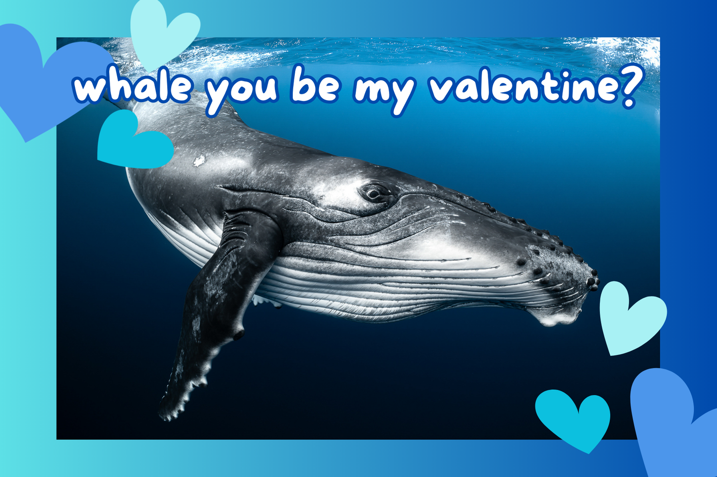 Humpback Whale Valentine's Day Card