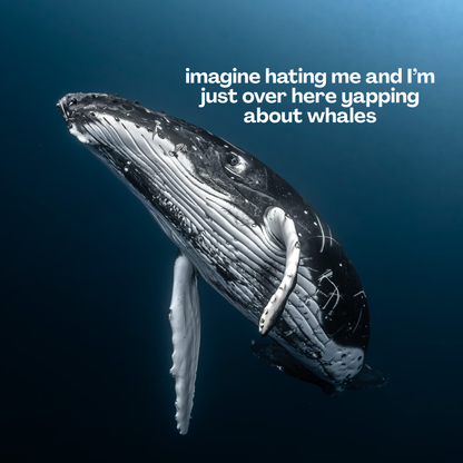 Whale Meme Sticker Sheet