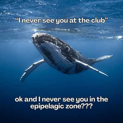 Whale Meme Sticker Sheet